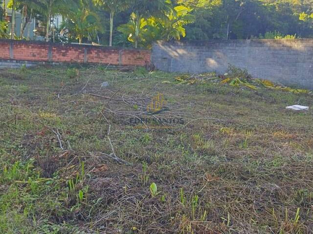 #984 - Terreno para Venda em Schroeder - SC - 1
