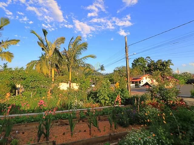 Área para Venda em Jaraguá do Sul - 4