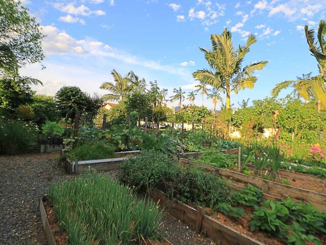 Área para Venda em Jaraguá do Sul - 5